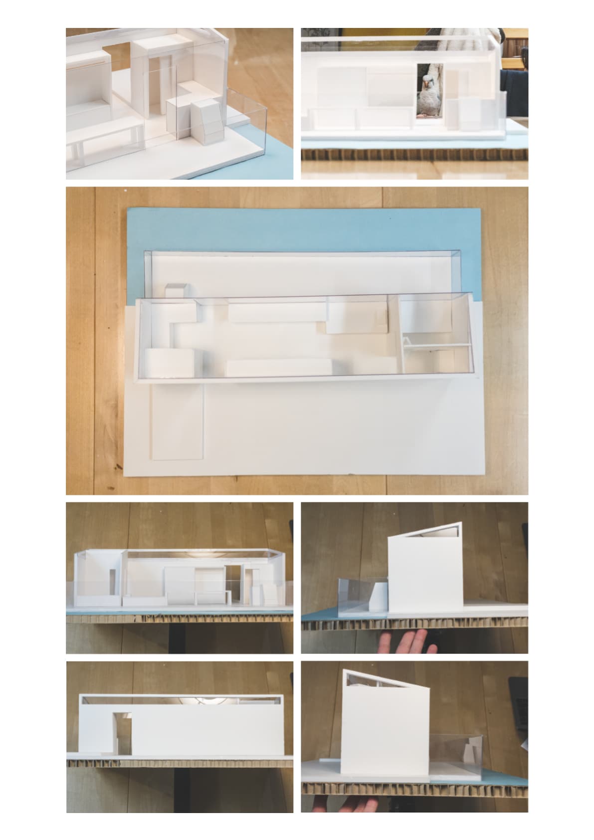 embed image